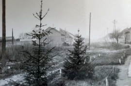STARČEVAČKIM šorom sa Slobodanom Jovanovićem