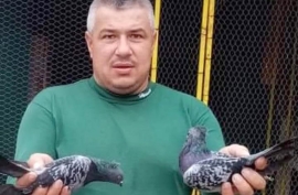GOLUBARSTVO: Reč-dve o...  Zlatko Petrov Firka, golubar