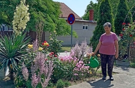 Baštovanstvo:  Cvećarstvo